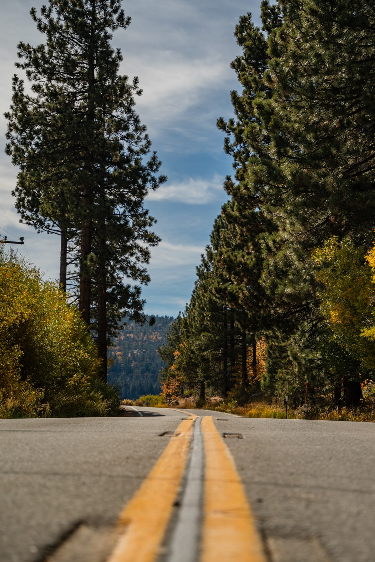 Open Road
